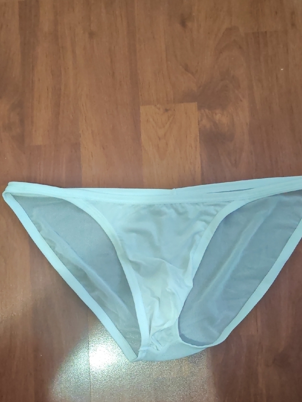 White Sheer Bikini Briefs